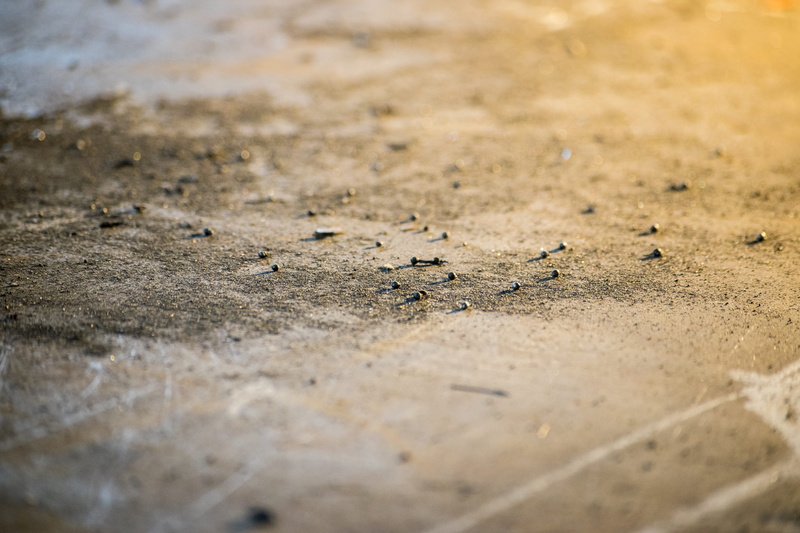 giuliano negretto, animal themes, outdoors, sphere, ground, cricket insect, blacksmith, nature, soil, selective focus, animal track, land, metal, machine