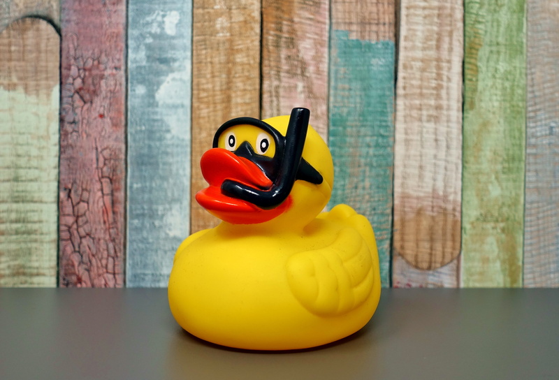 divers, toy, duck, still life, representation, animal themes, quietscheente, yellow, toy duck, rubber duck, single object, squeak duck, red, smiling, indoors