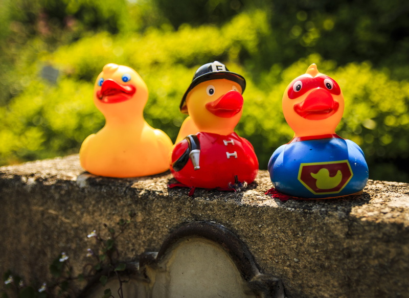 nature, toys, figurine, art and craft, rubber duck, 4K, side by side, human representation, fire, field, representation, multi colored, no people, day