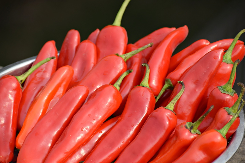 pepperoni, fiery, chilies, vegetable, spicy, spices, studio shot, vibrant color, paprika, healthy, red, healthy eating, black background, ingredient, pepper - vegetable