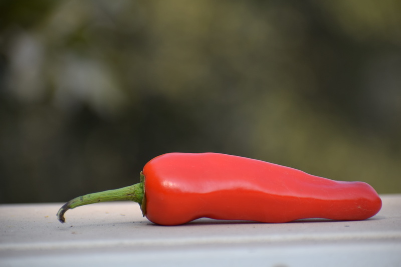 jalapeno pepper, indoors, kitchen, hot, spicy, food, ingredient, no people, chili pepper, healthy eating, edible, bell pepper, pepper - vegetable, healthy