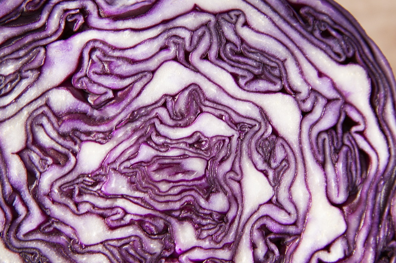 food and drink, close-up, vegetables, slice, cabbage, wellbeing, full frame, agriculture, pattern, vegetable, crop, blue, violet, brain, raw food, winter vegetables