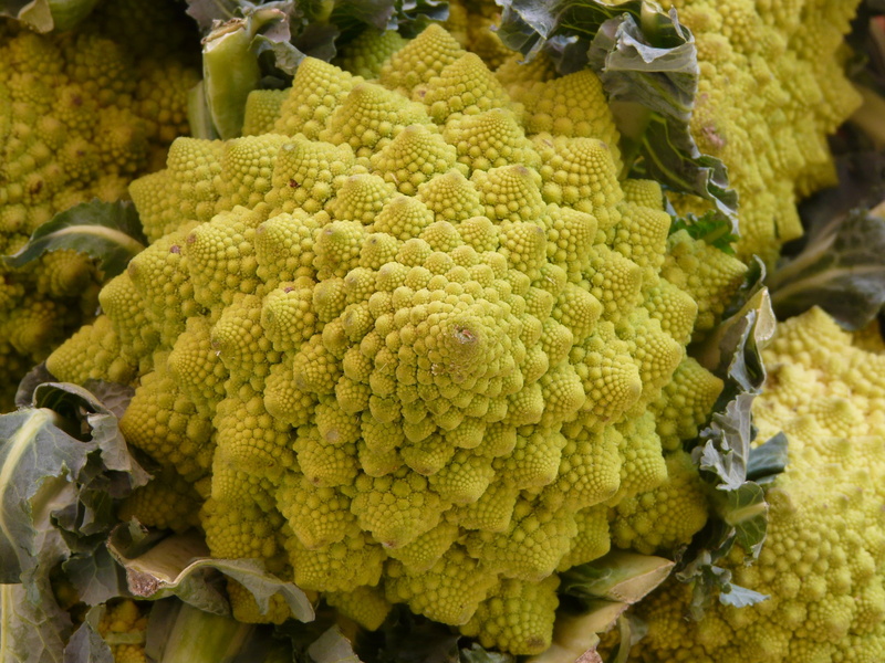 healthy eating, cauliflower, abundance, still life, vegetables, kohl, eat, no people, vitamins, day, wellbeing, full frame, food and drink, freshness, vegetable
