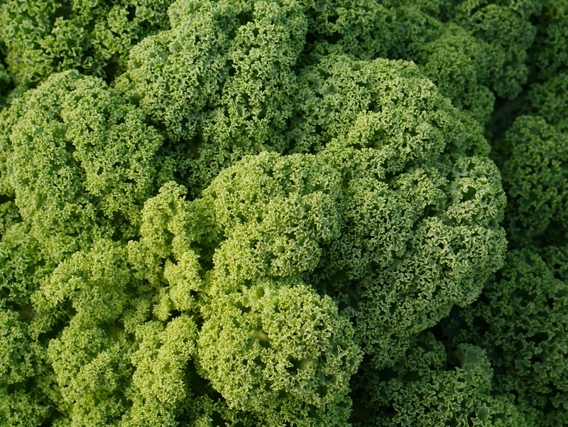 vegetable, broccoli, wellbeing, green color, green, winter vegetables, food, beauty in nature, close-up, healthy, directly above, backgrounds, no people