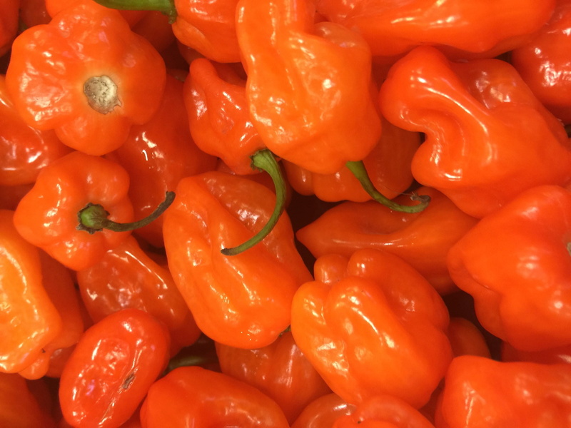 backgrounds, for sale, Pepper, Snack, freshness, food, vegetable, pepper, still life, close-up, wellbeing, red, Habanero, spice, abundance, full frame