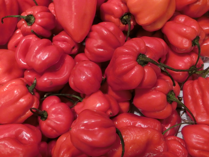red, pepper, market, food, vegetarian Food, vegetable, vegetables, bell pepper, full frame, still life, retail, no people, eat, pepper - Vegetable, high angle view