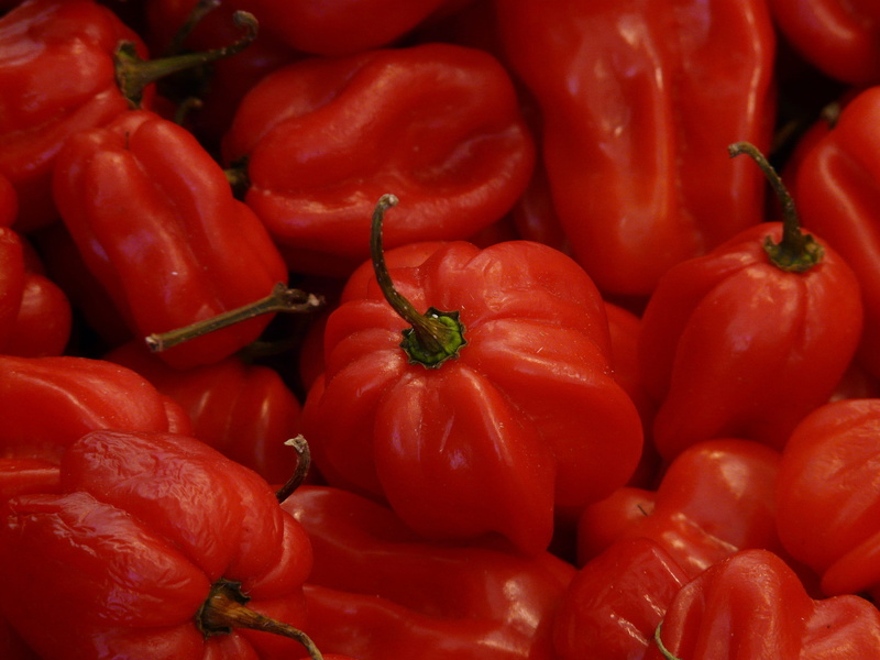 fruits, full frame, capsaicin, tomato, solanaceae, retail, 2K, chili, wellbeing, food and drink, sharpest, for sale, food, backgrounds, abundance, close-up