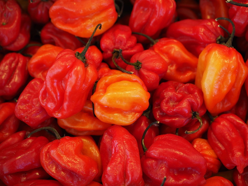 still life, food and drink, wellbeing, backgrounds, abundance, healthy eating, peppers, market, large group of objects, hot, capsicum chinense, habaneros