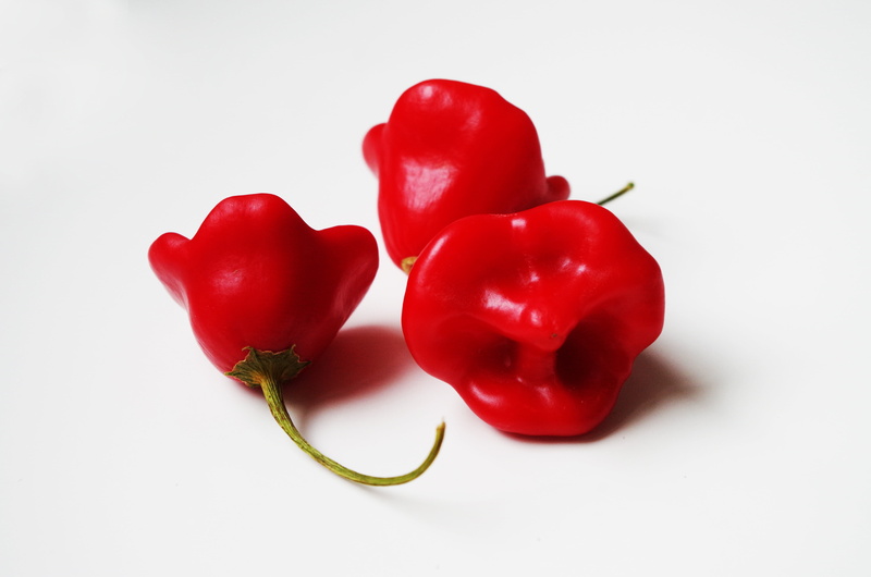 group of objects, red, pepper, spicy, cut out, food and drink, white background, no people, habanero, still life, studio shot, vegetable, food, indoors