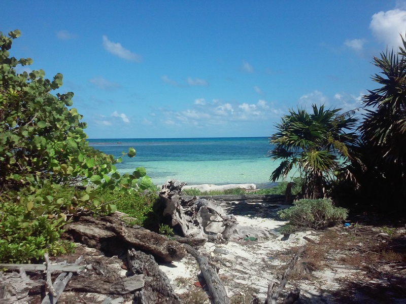 coast, sky, beauty in nature, vacation, land, summer, tropical, travel, calabash caye, rock, horizon, rainforest, tranquility, no people, relax, belize