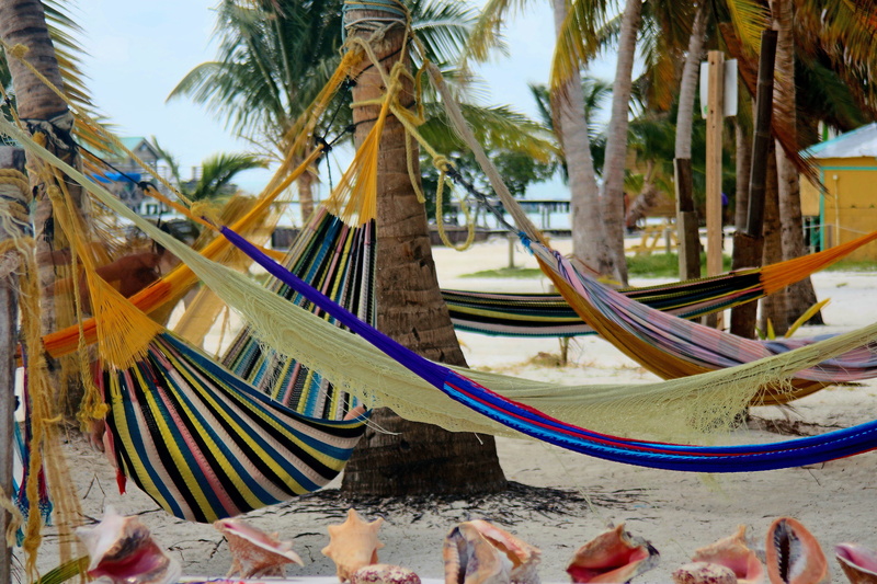moored, water, tropical climate, beauty in nature, belize, day, land, hammock, tree trunk, sky, trunk, palm trees, coconut palm tree, palm leaf, beach