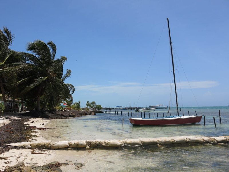 outdoors, Water, Sail Boat, boat, tranquil scene, nautical vessel, transportation, brown, mast, caye caulker, yacht, beauty in nature, cocnut, belize, palms