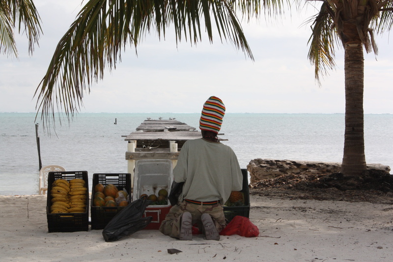 belizean, outdoors, Beach, men, real people, 4K, Vacation, rear view, Coast, nature, Ocean, tree, adults only, water, horizon over water, lifestyles, sea