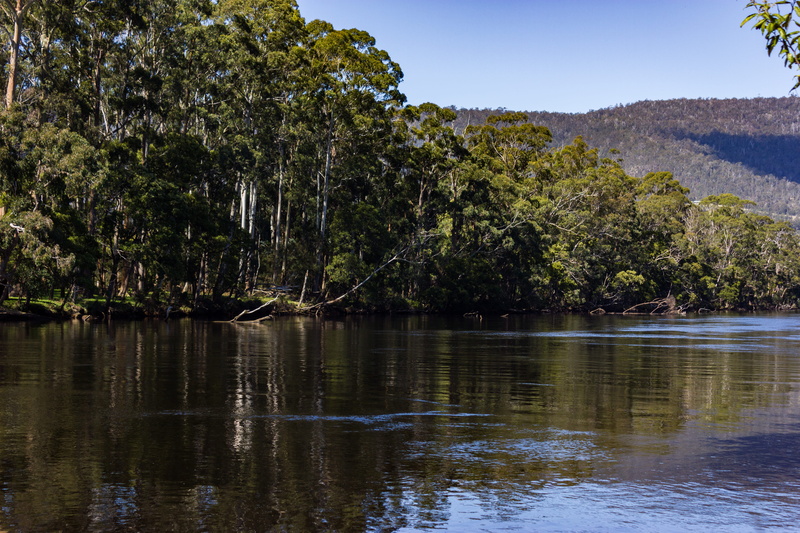 reflection, no people, hobart, tree, green color, tasmania, idyllic, water, mountain, waterfront, outdoors, lake, scenics - nature, nature, tranquil scene