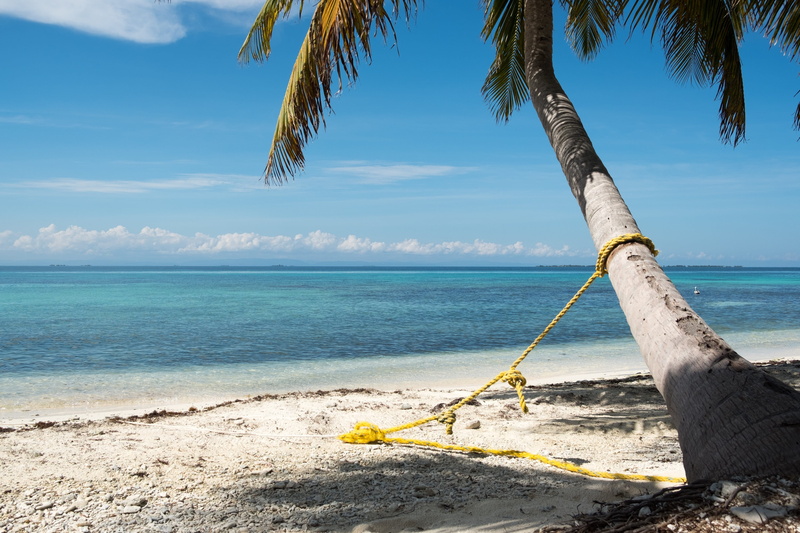 horizon, nature, sky, horizon over water, idyllic, cloud - sky, beauty in nature, day, belize, beach, no people, coconut palm tree, sunlight, palm tree