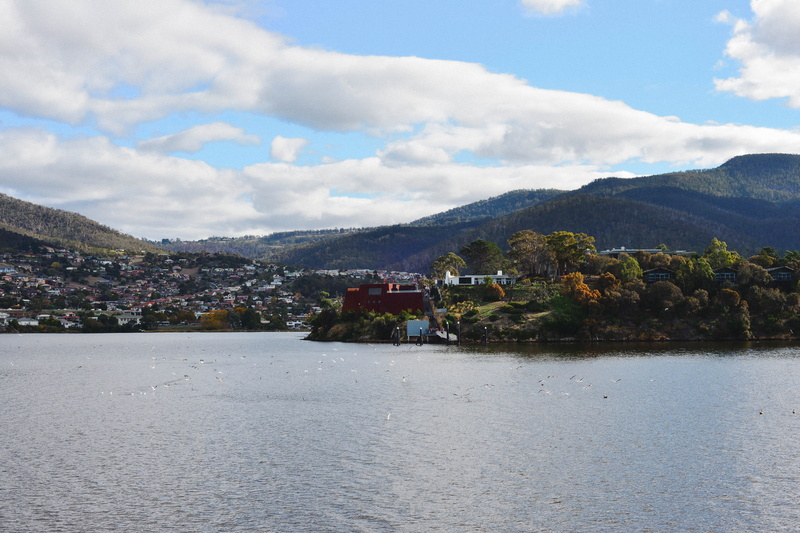 day, tasmania, museum, nature, gallery, mona, cloud - sky, scenics - nature, city, plant, waterfront, architecture, sky, 4K, water, outdoors, beauty in nature