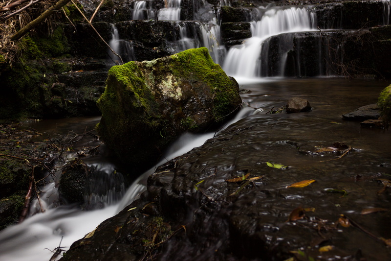 australia, long exposure, mossy, nature, flowing water, land, no people, water, beauty in nature, tree, forest, rock, scenics - nature, environment, flowing