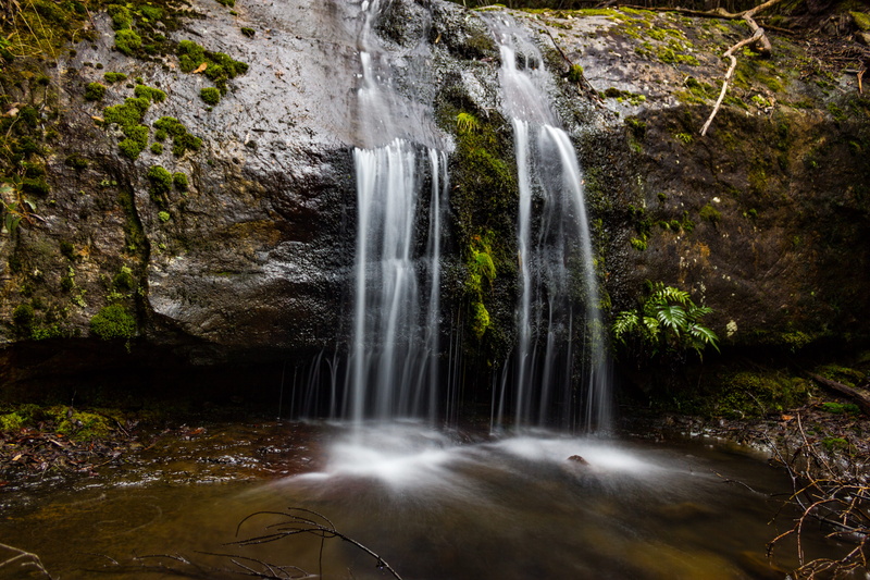 power in nature, land, scenics - nature, forest, flowing, water, motion, long exposure, plant, tree, no people, rock, non-urban scene, rock formation, environment