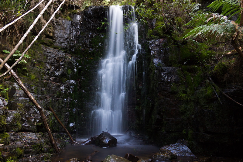 flowing, water, rainforest, motion, hobart, rock formation, no people, ogradys falls, waterfall, non-urban scene, forest, australia, solid, 5K, scenics - nature