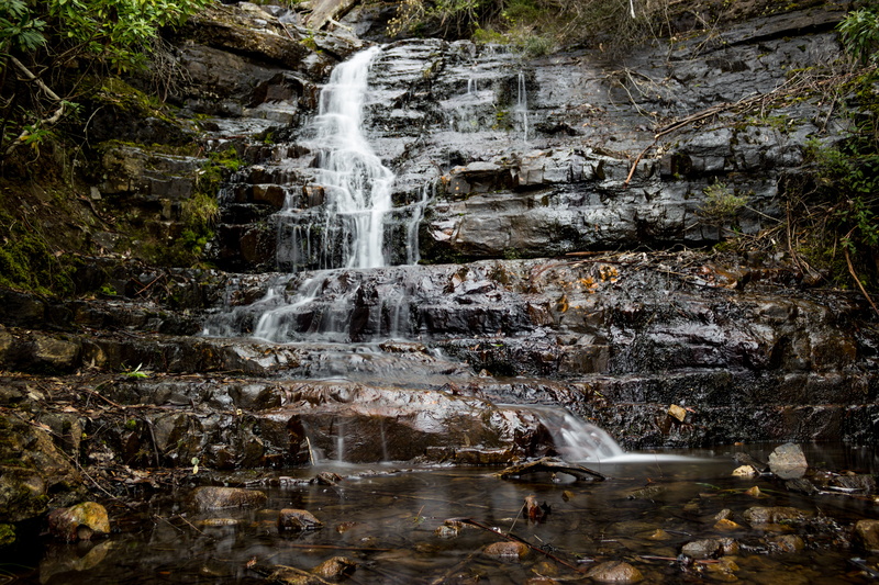 blurred motion, rock - object, power in nature, waterfront, water, forest, 5K, day, flowing, rock, motion, nature, outdoors, lenah valley, scenics - nature