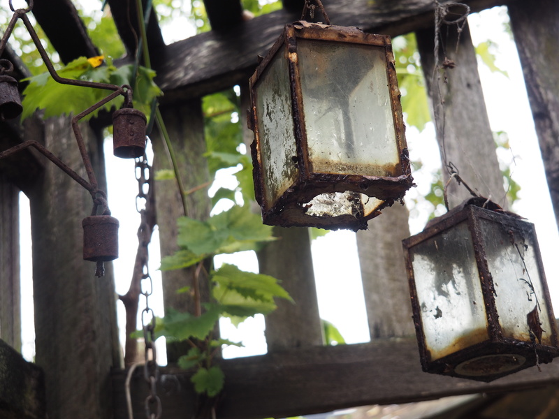 growth, day, 4K, built structure, rust, low angle view, lighting equipment, rusty, plant, wood - material, tree, hanging, outdoors, old, lantern, architecture