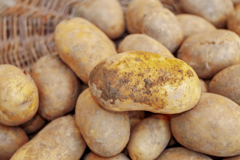 close-up, abundance, carbohydrates, earth apple, natural product, vegetables, brown, market, 4K, retail, potatoes, healthy eating, still life, raw potato