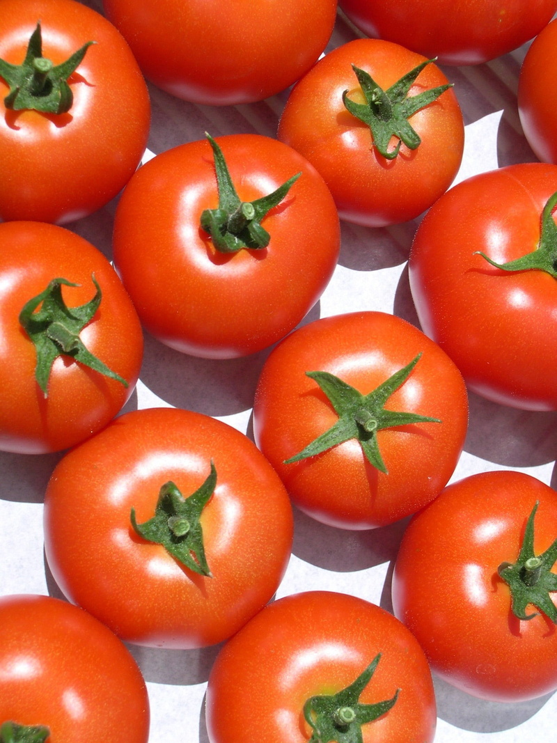 round tomatoes, food, healthy eating, large group of objects, still life, group of objects, vegetarian, freshness, lots of tomatoes, nachtschattengewächs