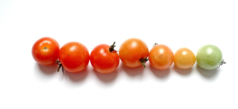 organic, red, assorted, cut out, frisch, color, group, vegetarian, juicy, food and drink, ripe, healthy eating, group of objects, close-up, nachtschattengewächs