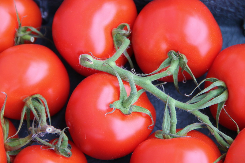heap, tomato fruit, vegetable, eat healthy, organic, tomatoes, close-up, freshness, photo, bush tomatoes, pepper, vitamins, tomato, red, vegetables, harvest