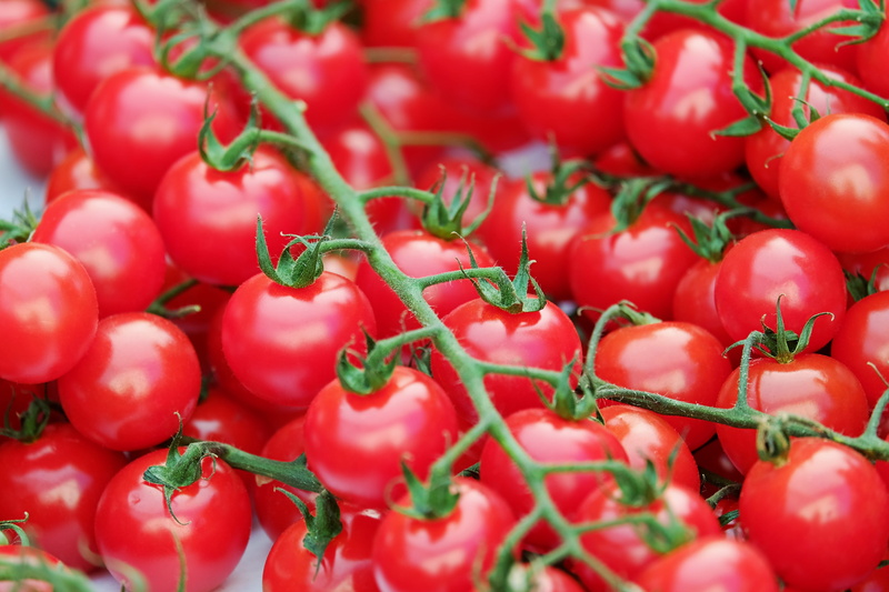 wellbeing, tomatoes, fruits, ripe, bush tomatoes, close-up, vegetable, backgrounds, red, still life, no people, large group of objects, for sale, healthy eating