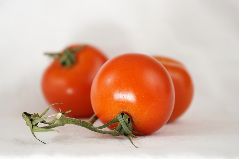 food and drink, nachtschattengewächs, close, no people, indoors, antioxidant, freshness, tomato, wellbeing, bush, vegetarian food, garden, frisch, bush tomatoes