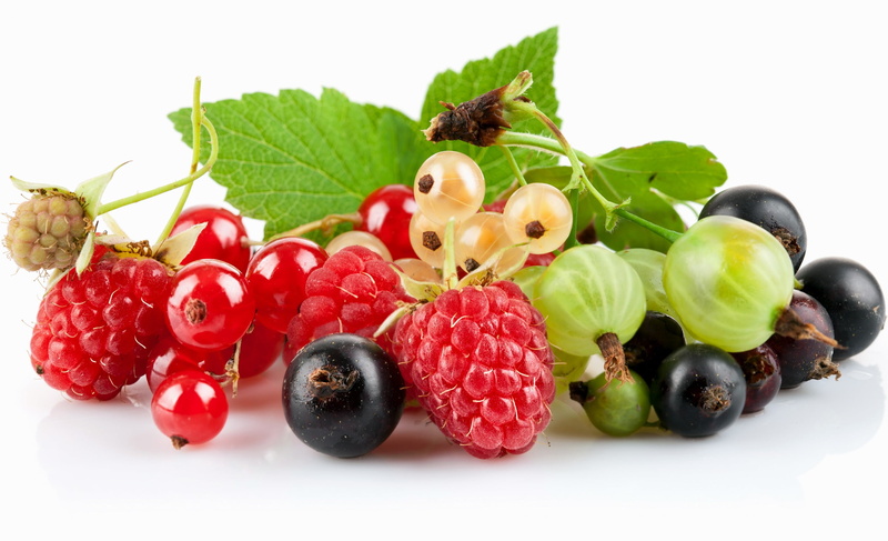 nature, eating, raspberries, food, red currant, wellbeing, fruit, dessert, pile, organic, close-up, gourmet, variation, white, branch, indoors, plant, leaf
