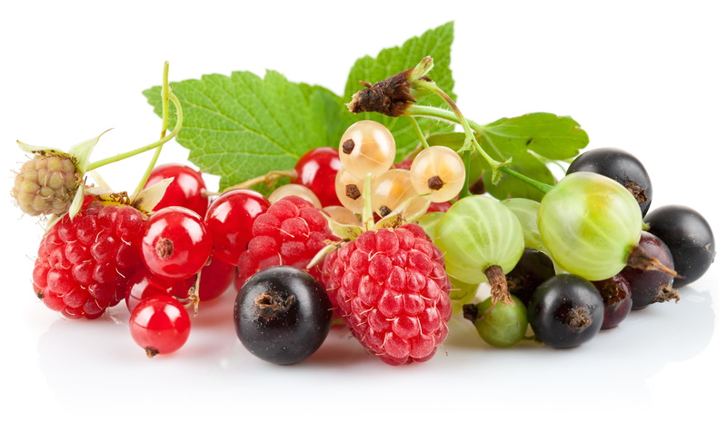 close-up, red, studio shot, food, ripe, snack, cut out, freshness, berries, indoors, large group of objects, grape, fruit, choice, still life, blueberries