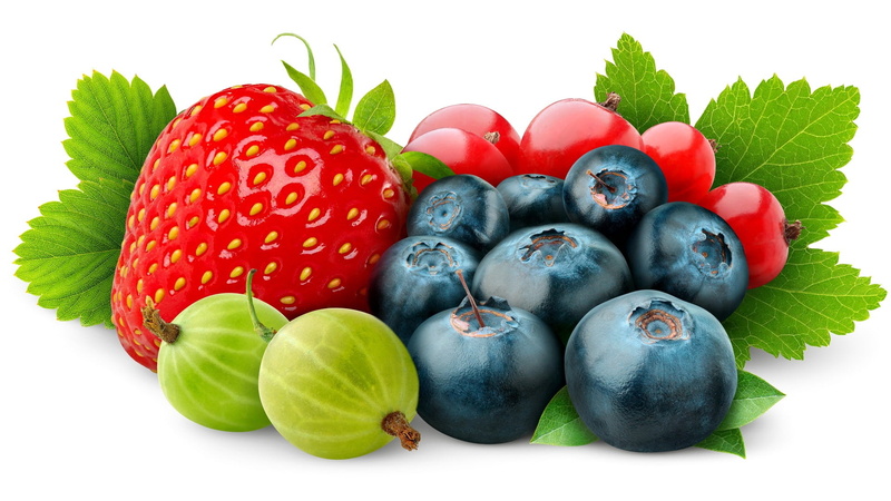food, vegetarian food, red, freshness, white background, berries, juicy, studio shot, illustratiojn, fruit, gooseberries, cut out, close-up, still life