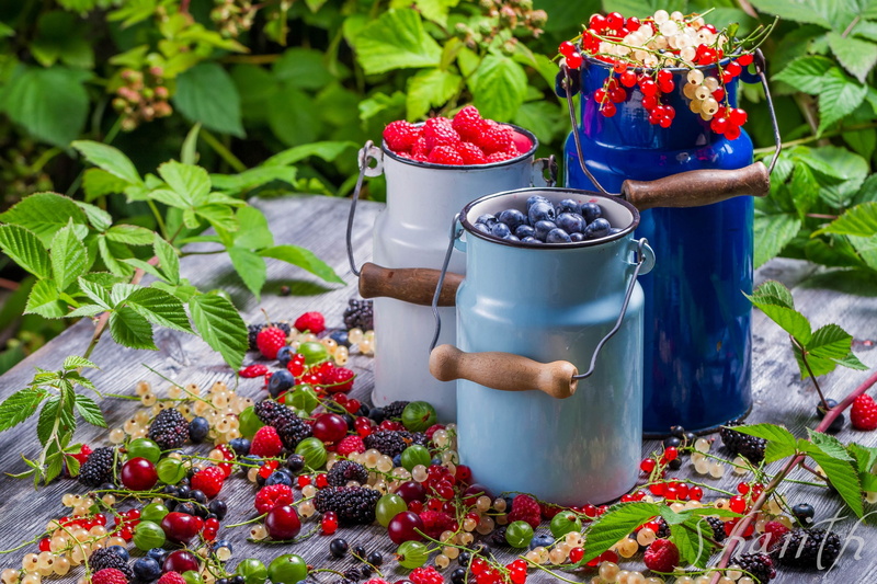 4K, currants, berries, blackberries, raspberries, gooseberries, golubmka, cans, vitamins