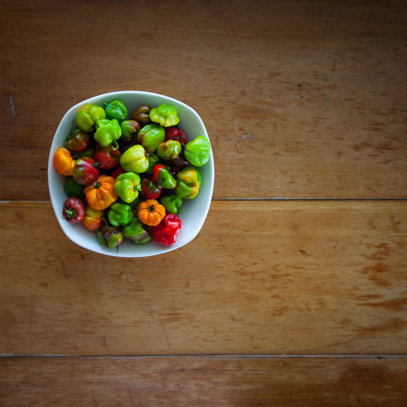 table, multi colored, freshness, olive, pepper, ready-to-eat, high angle view, plate, Pepper, Wooden, fruit, Mexican, food and drink, spicy, vegetable