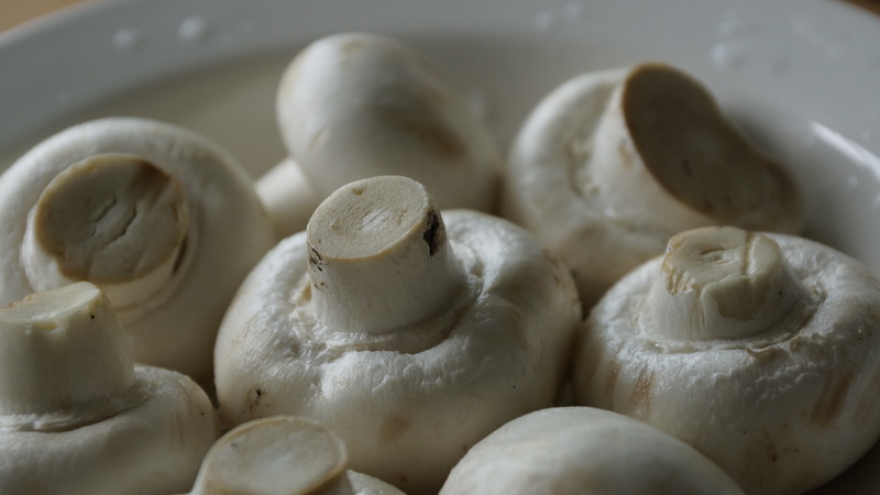 healthy, mushroom, selective focus, food and drink, ceramics, raw food, white, kitchen, indoors, vitamins, cooking, plate, no people, agaricus, wellbeing