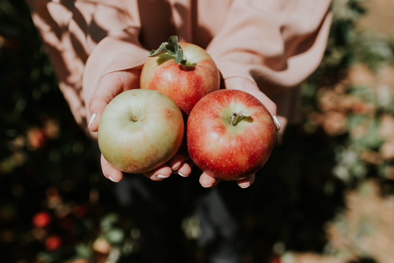 wellbeing, green, fruits, red, autumn, outdoors, apple - fruit, holding, food, one person, healthy eating, apples, close-up, three, group of objects, golden
