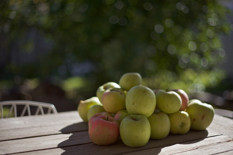 food and drink, nature, morning, large group of objects, wooden textrue, table, close-up, light, focus, fruits, harvest, wood, focus on foreground, healthy eating