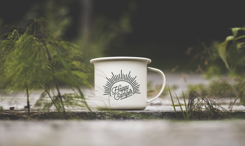 green color, tree, colors, focus, grass, selective focus, refreshment, coffee, cup of coffee, no people, coffee cup, white, surface level, floral pattern