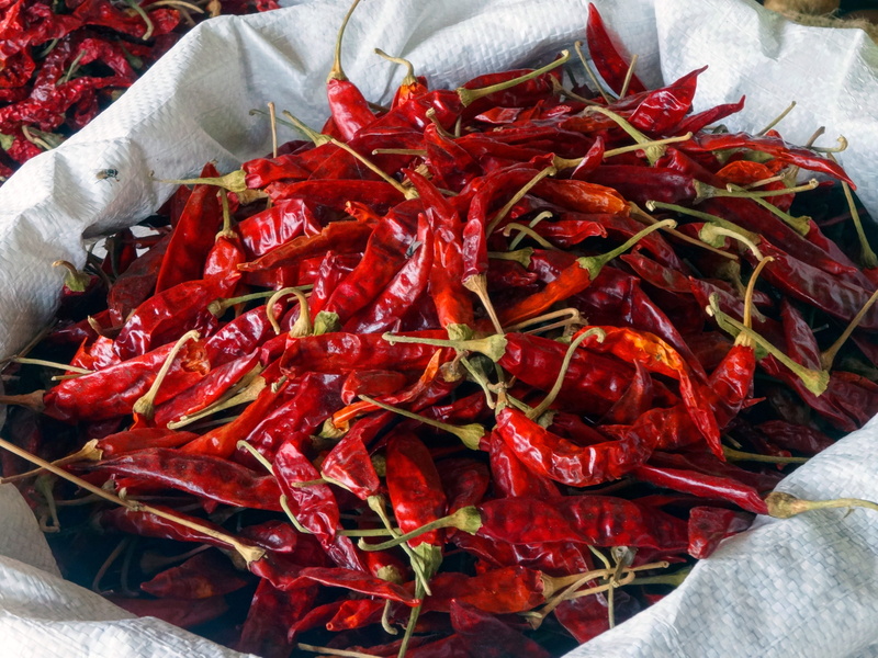 close-up, bag, spices, pepper, dry, red, food, red chili pepper, day, chili pepper, freshness, high angle view, seafood, chili, large group of objects