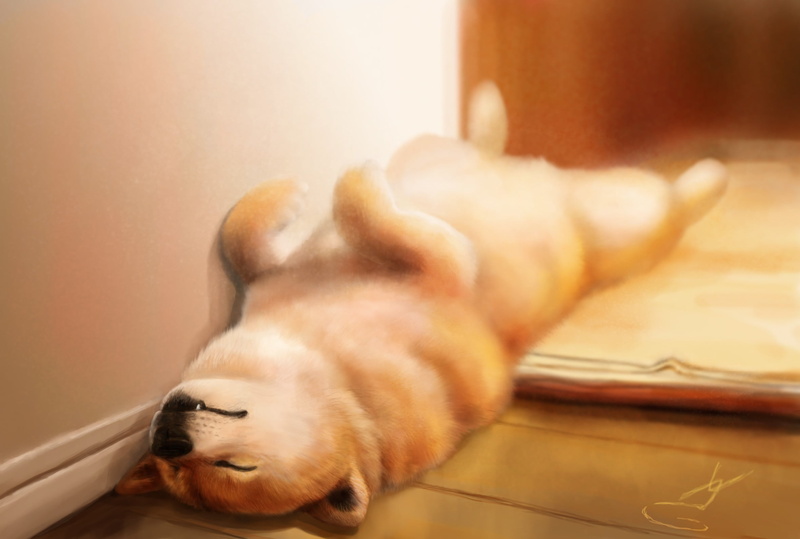 resting, one animal, pembroke, sleeping, domestic animals, no people, canine, mammal, art, close-up, sleep, corgi, adult, eyes closed, feline, on the floor