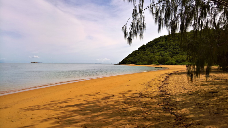 non-urban scene, tranquil scene, shore, magnetic island, tranquility, water, no people, tropical, beauty in nature, idyllic, place, tropics, land, sea