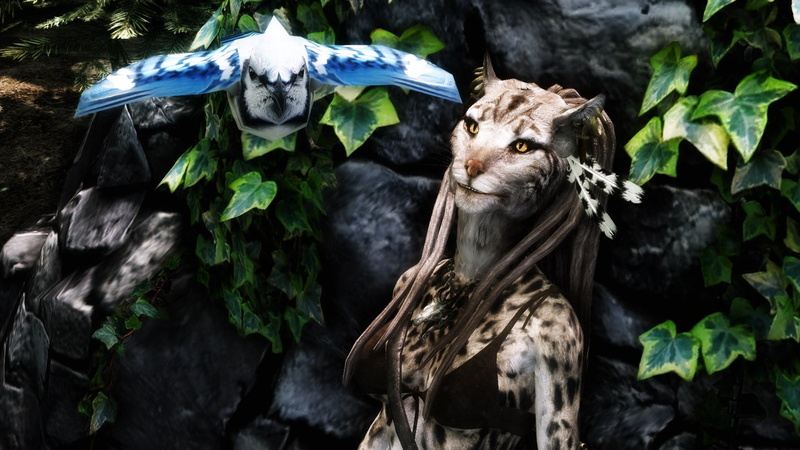 mammal, Khajiit, 1080P, nature, vertebrate, forest, outdoors, one animal, plant, animal themes, day, tree, no people, animal, animals in the wild, rock