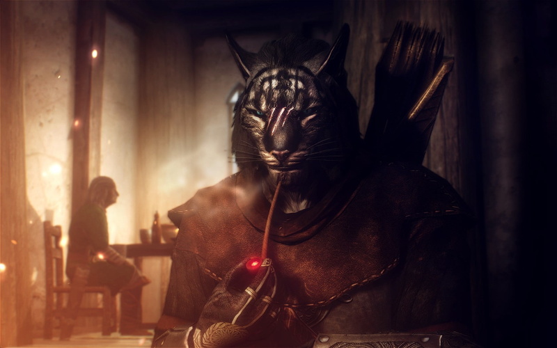 indoors, spooky, 720P, animal wildlife, mask, portrait, incidental people, Khajiit, The Elder Scrolls V: Skyrim, costume, disguise, mammal, architecture
