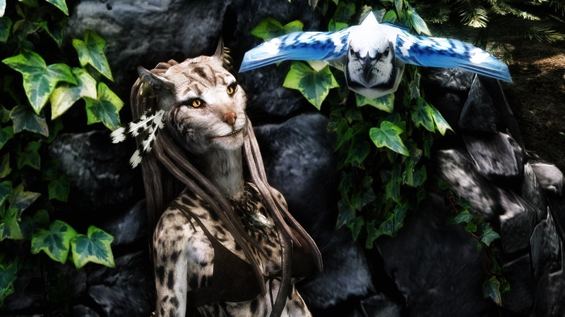 Khajiit, no people, tree, mammal, birds, animal themes, plant, one animal, looking at camera, forest, animal head, 1080P, close-up, leaf, women, nature
