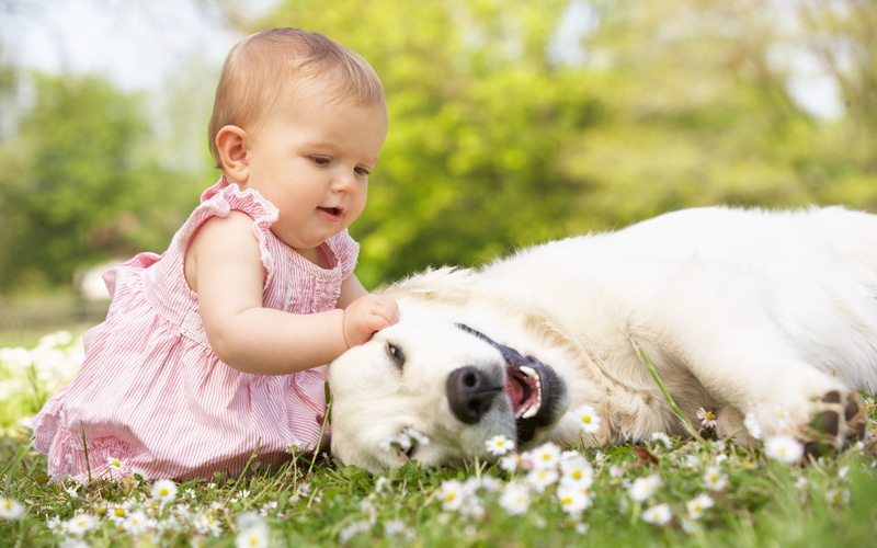 playing, baby, flowers, cute, 2K, little, dog, girl, grass