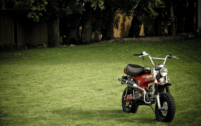 bike, red, 2K, black, mini, 2560x1600, honda, trail, motorcycles, dachshund, st-series, trail 70