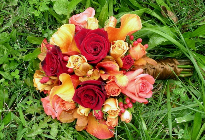 multi Colored, field, flower arrangement, beauty, red, vulnerability, green Color, flower Head, backgrounds, freshness, celebration, plant, fragility, rose - Flower