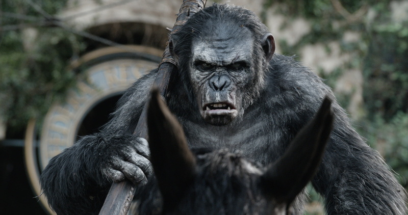 monkey, Dawn of the Planet of the Apes, horse, Planet of the apes: the Revolution, 1080P